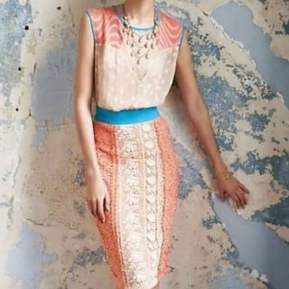 Anthropologie dress- Champagne & Strawberry - Picture 5 of 8